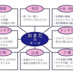 オマタアドバイザー - その他