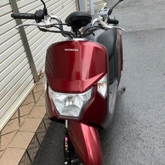 🛵原付バイク🛵ホンダダンクの画像