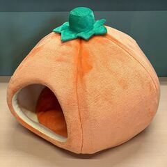 キャットハウス（みかん）