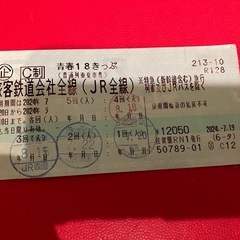 青春18きっぷ一回　手渡し希望
