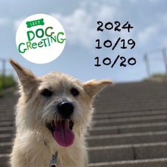 LECT DOG GReeTING 2024秋
