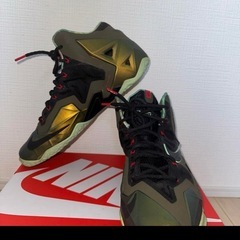 LEBRON 11 “KINGS PRIDE” バッシュ