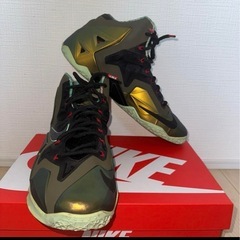 LEBRON 11 “KINGS PRIDE” バッシュの画像