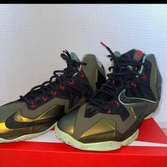 LEBRON 11 “KINGS PRIDE” バッシュの画像