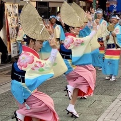 阿波おどり『港北あわ連』メンバー募集！ - 横浜市