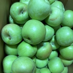 摘果　リンゴ　7キロの画像