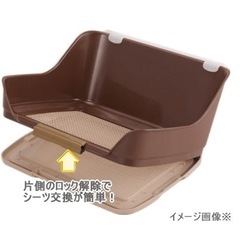 しつけるウォールトレーS ブラウンの画像