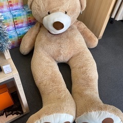 美品　大型  クマのぬいぐるみ