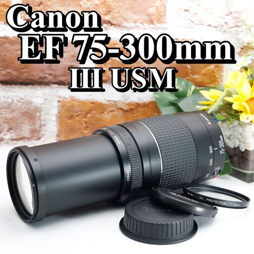 【全国送料無料】⭐️美品⭐️ Canon EF 75-300㎜ F4-5.6 Ⅲ USM✨超望遠レンズ 静岡県中部でお届けします（他の地域もご相談ください♪）→運転が不慣れな為、お近くまで来ていただけますと助かります✨✨ キャノン キヤノン イベント 旅行