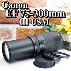 【全国送料無料】⭐️美品⭐️ Canon EF 75-300㎜ F4-5.6 Ⅲ USM✨超望遠レンズ 静岡県中部でお届けします（他の地域もご相談ください♪）→運転が不慣れな為、お近くまで来ていただけますと助かります✨✨ キャノン キヤノン イベント 旅行