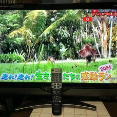 SHARP AQUOS シャープ アクオス　LEDバックライト採...