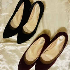 パンプス 秋物 2足セット 24.0cmの画像