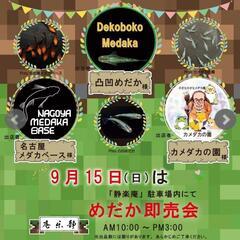 【速報】静楽庵様にて販売します‼️♢名古屋改良めだか直売所♢NMB♢