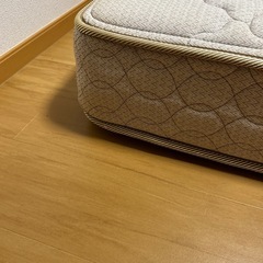【大至急募集中】フランスマット、セミダブルの画像