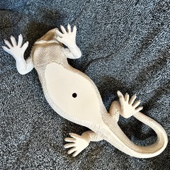 フトアゴヒゲトカゲの置物の画像