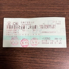 青春18きっぷ2回分