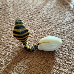 ヘビ色々セット(西野まで)の画像