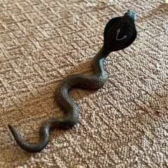 ヘビ色々セット(西野まで)の画像