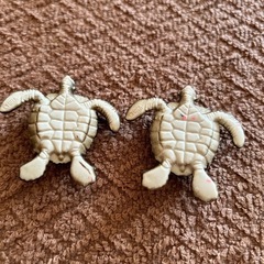 カメ色々セット(西野まで)の画像