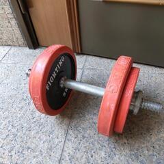 キレイめ  ラバーダンベル15kg 