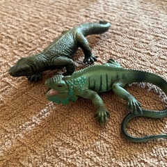 トカゲ色々セット(西野まで)の画像