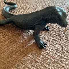 トカゲ色々セット(西野まで)の画像