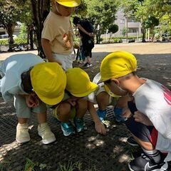 【２０２５年度（令和７年度）】 中葛西幼保園　新入園児募集　（先着枠）の画像
