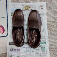 女性用　シューズ　moonstar eve 23.5 4E