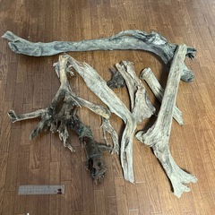 アクアリウム流木
