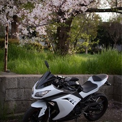 Ninja250 SE EX250L