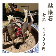 本日の御予約で終了！