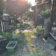 庭石・砂利・樹木など色々無料　茨城県古河市の画像