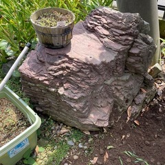 庭石・砂利・樹木など色々無料　茨城県古河市