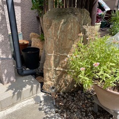 庭石・砂利・樹木など色々無料　茨城県古河市の画像