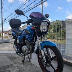 YAMAHA  YBR125　商談中