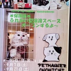 保護猫のふれあいスペースオープン