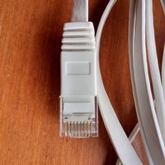 LANケーブル 約１０ｍあります：無料