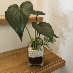 フェイクグリーン　観葉植物