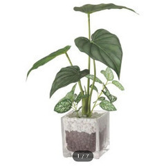 フェイクグリーン　観葉植物の画像