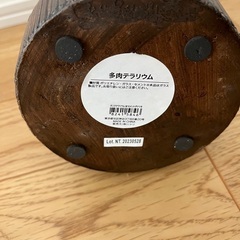 ニトリ　多肉テラリウムの画像