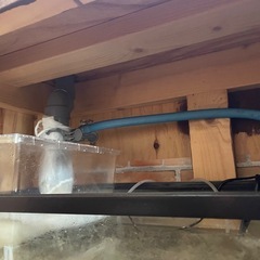 90cm オーバーフロー水槽の画像