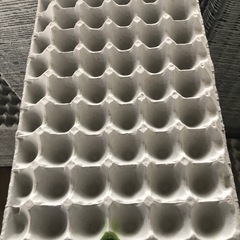 卵パック　紙　200枚の画像