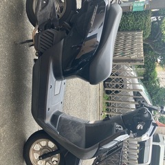ホンダ　タクト・ベーシック　ＡＦ７９　２０１６年モデル　インジェ...
