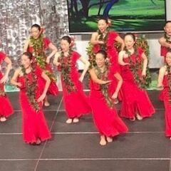 フラダンス教室 フラ経験者 生徒募集 　ケ　オラ　ハーラウ　フラ　オ　カレイナニの画像