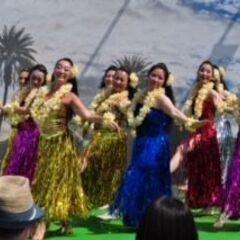 フラダンス教室 フラ経験者 生徒募集 　ケ　オラ　ハーラウ　フラ　オ　カレイナニの画像