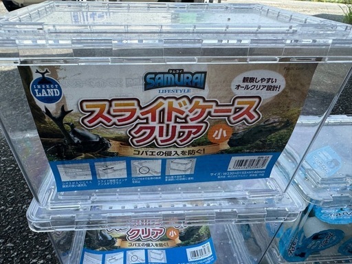 スライドケースクリア　中5個とゼリーセット