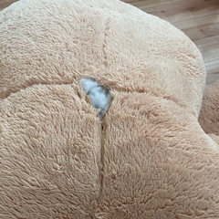 くま　ぬいぐるみの画像