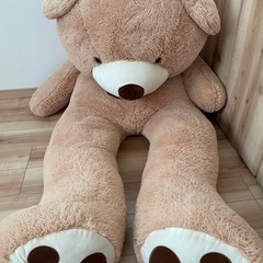くま　ぬいぐるみ