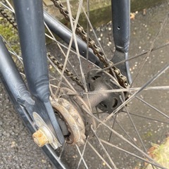 leader 721TRの画像