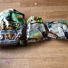 カブトムシ飼育セットの画像